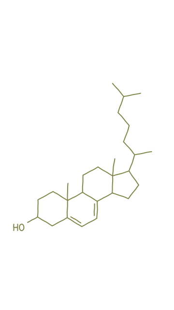 7-DHC (7-dehidrokolesterol)