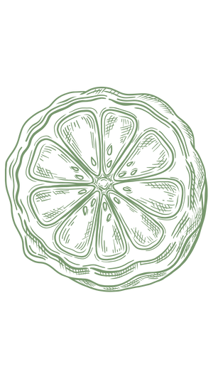 Limeta