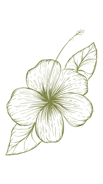 Ekstrakt hibiskusa