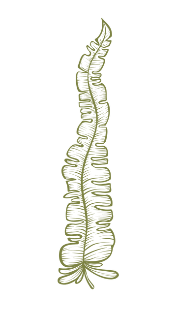 Ekstrakt zelene alge (Chlamydomonas reinhardtii)